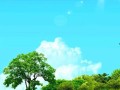 白云晴空吃瓜视频,揭秘热门视频背后的故事